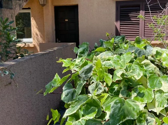 Du Soleil * Patrimonio